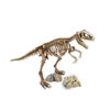 Μικροί Επιστήμονες Δεινόσαυροι 2σε1 (77625)