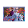 Ravensburger Puzzle 2x24 Frozen II (05010)