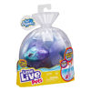 Little Live Pets Aquaritos Ψαράκι 3 Σχέδια (LP101000)