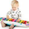 Hape Baby Einstein Notes & Keys Πιάνο (800891)