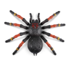 RoBo Alive Giant Tarantula (7170)