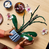 Lego Icons Botanical Orchid (10311)