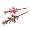 Lego Botanicals Cherry Blossoms (40725)