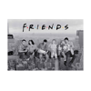 Friends Poster Maxi (ABYDCO729)