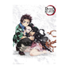 Demon Slayer Poster 2-Pack (52x38cm)