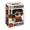 Funko Pop! Vinyl- Harry Potter (Quidditch) (08)