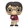 Funko Pop! Vinyl- Harry Potter (Harry Potter) (132)