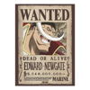 One Piece Roger & Whitebeard Wanted Poster 2-Pack (52x38cm) (GBYDCO687)