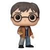 Funko Pop! Vinyl- Harry Potter (Harry Potter) (196)