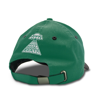 Rick & Morty Jockey Cap (ABYCAP091)